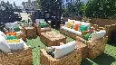 shared image (6).webp